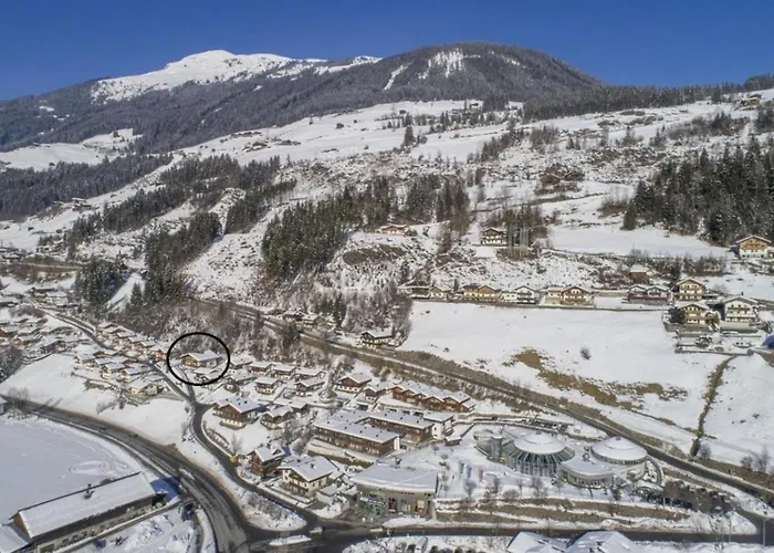 Tatil Evi Schoeneben 5 Wald im Pinzgau